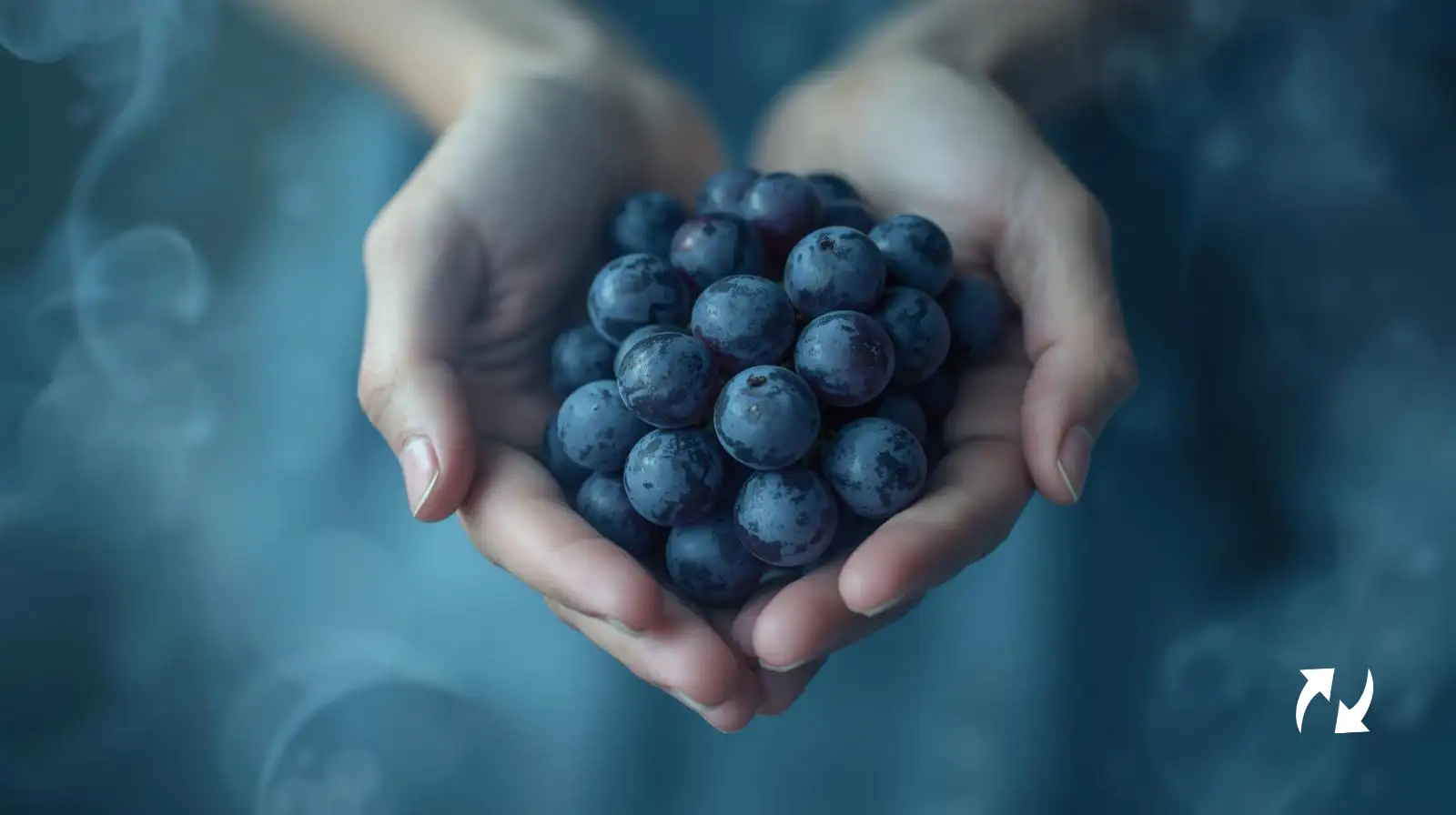 El Fruto del Espíritu Santo